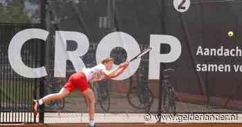 Tennissers Lewabo halen tóch de eredivisiefinale dankzij routinier Sijsling en 13-jarige (!) Boogaard - De Gelderlander