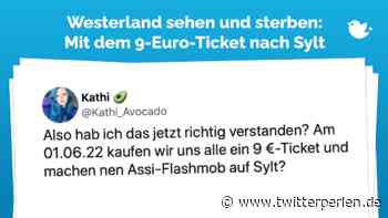 Westerland sehen und sterben: Mit dem 9-Euro-Ticket nach Sylt - Twitterperlen