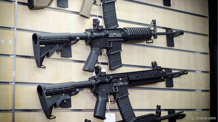 House Democrats to move slate of gun bills this week