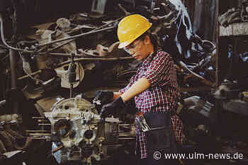 Die Arbeitszeiteinteilung: Von Eulen, Lerchen und Tauben lernen