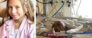 Une Américaine de 9 ans survit à une très rare attaque de puma