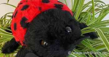 Coburg: Puppenmuseum bietet Basteltüte an - Marienkäfer selbst stopfen