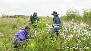 Granite City adds more trees and will be able to sell the carbon credits - Belleville News-Democrat