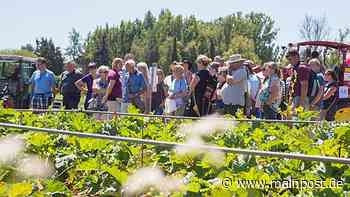 Tag der offenen Tür für Gartenfans bei der LWG Bamberg - Main-Post