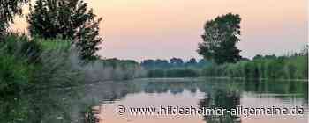Kreis Hildesheim kündigt Zusammenarbeit: Wie geht es mit der Ökologischen Schutzstation weiter? - www.hildesheimer-allgemeine.de