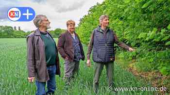 Tradition der Knickpflege soll Immaterielles Unesco-Kulturerbe werden