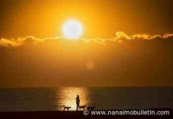B.C. gets a break as hot summer, big storms to sweep much of Canada: Weather Network