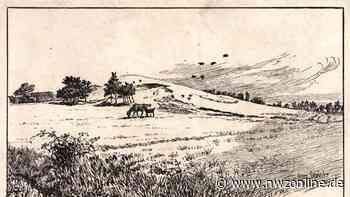 Vor 100 Jahren in Varel: Skandal nach Hakenkreuzfahne auf Sonnenwendfeier - Nordwest-Zeitung