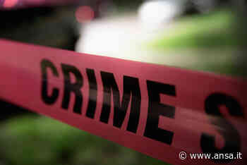 Minaccia una sparatoria di massa, arrestato in Florida un bambino di 10 anni - Agenzia ANSA