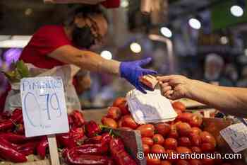 Eurozone inflation hits record 8.1% amid rising energy costs - The Brandon Sun