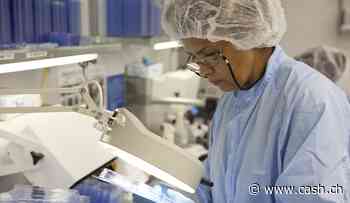 Börse - Nicht nur Defensive: Diese Aktien halten der Krise stand