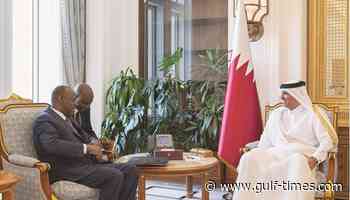 PM meets special adviser to president of Cote d'Ivoire - Gulf Times