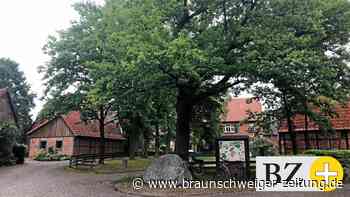 Rolfsbütteler verärgert über jahrelange Planung für Fußweg