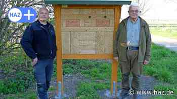 Sehnde: Wirringer Jagdgenossenschaft beschafft Insektenhotel für Bienen - HAZ