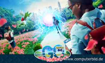 Diese Woche in Pokémon GO: GO Fest 2022, Kyogre & Co. - COMPUTER BILD - COMPUTER BILD