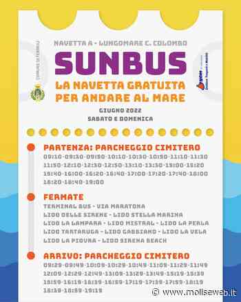 TERMOLI, ARRIVA SUNBUS, LA NAVETTA GRATUITA PER ANDARE AL MARE - Molise Web