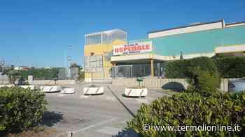 «Non ci sono stati più casi gravi», Consiglio di Stato respinge istanza su Emodinamica - Termoli Online