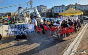 Caro gasolio, marittimi Termoli, stop pesca tutta la settimana - Sky Tg24