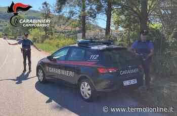 Rapina impropria e resistenza a pubblico ufficiale, arrestato 21enne - Termoli Online