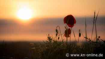 Sommeranfang 2022: Wann fängt der Sommer an und was bedeutet das eigentlich?
