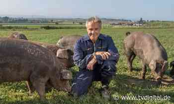 Schwitzt nicht, sauber und intelligent: Hannes Jaenicke feiert das Schwein - TV Digital