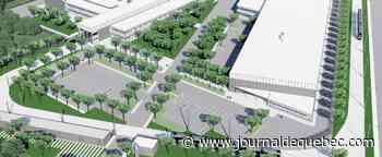 Tramway: un grand boisé et des milieux humides détruits dans le secteur Chaudière