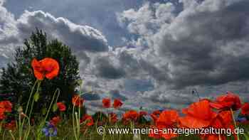 Sommeranfang 2022 mit über 30 Grad: Temperatur-Extreme werden erwartet