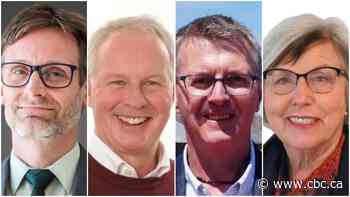 Meet the candidates in the Thunder Bay-Atikokan riding - CBC.ca
