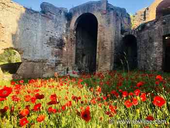 Appuntamento in Giardino 2022 - Villa Adriana e Villa d'Este - Le Villae Tivoli