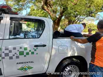 Mococa: PM Ambiental prende empresários por maus tratos a animais - Repórter Naressi