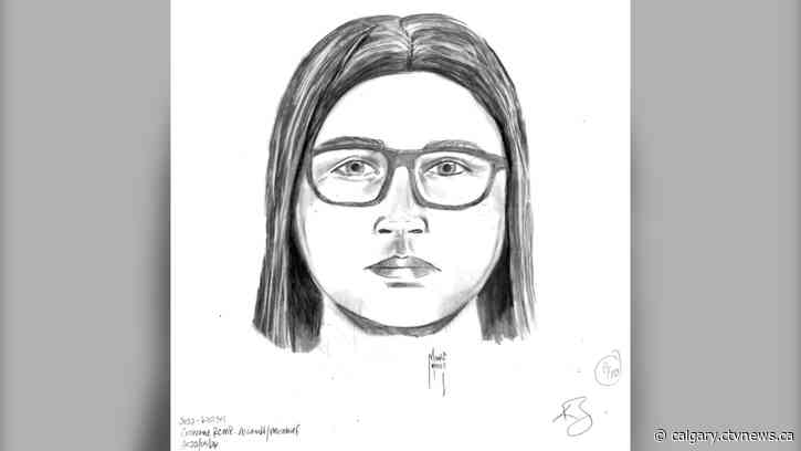 Dog being off leash leads to violent encounter, vehicle vandalism near Cochrane