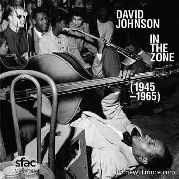 Photographer of the Fillmore - Newfillmore