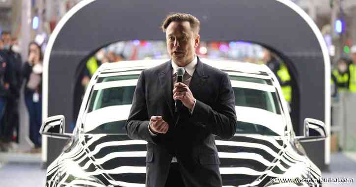 Anti-Gunners Will Hate What Elon Musk Did for Woman Who Shot Bad Guy Dead