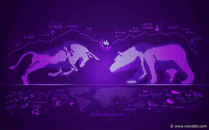 Daily Pump & Dump | May 31, 2022 Crypto Market Report