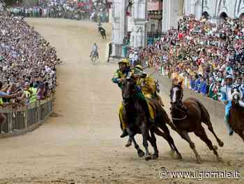 Siena, dopo due anni di assenza forzata torna il Palio (e le solite polemiche degli animalisti) - ilGiornale.it
