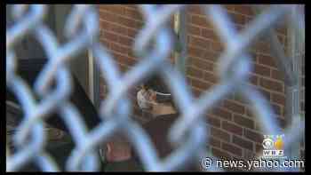 Nathan Carman pleads not guilty in mother's death at sea - Yahoo News