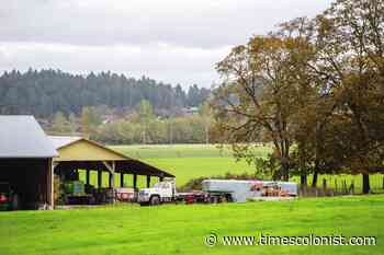 Comment: Finding a shared vision for North Saanich's future - Times Colonist