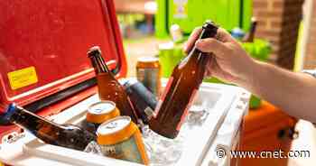 Best Coolers for 2022: Cabela, Magellan Outdoors, Yeti, RTIC and More     - CNET