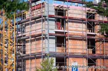 Umfrage der Universität Mannheim: Viele Betriebe scheuen Investitionen und Neueinstellungen - Wirtschaft - Mannheimer Morgen