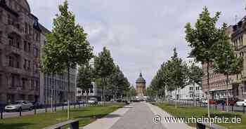 22-Jähriger rast mit Mercedes durch Augustaanlage - Mannheim - Rheinpfalz.de