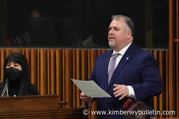 Pressure mounts for Liberals to back bill decriminalizing drug use - Kimberley Bulletin