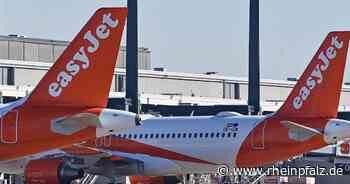 Regierung macht Unternehmen für Reise-Chaos verantwortlich - Wirtschaft - Rheinpfalz.de