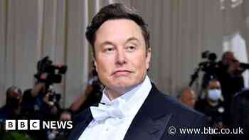 Twitter investor sues Elon Musk and platform over takeover bid