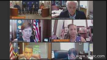 Parent of teacher killed in Florida school shooting joins NYS mayors asking for gun safety changes