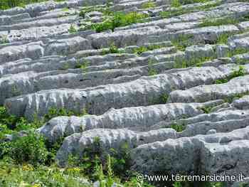 Cento E Più… Milioni Di Anni Di Geologia Del Parco Nazionale D'Abruzzo, Lazio E Molise » Terre Marsicane - Terre Marsicane