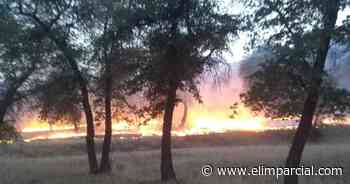 Emiten recomendaciones para prevenir incendios forestales en Nogales - EL IMPARCIAL Sonora