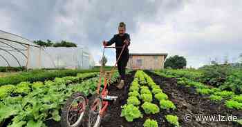Junge Gärtner aus Steinheim geben beim Anbau Vollgas – ohne Motoren | Nachrichten aus Ostwestfalen-Lippe - Lippische Landes-Zeitung