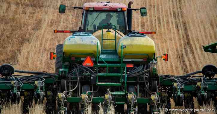 Corn and Soybean Farmers See Their Fertilizer Bill Go Up $175,000, Bad News for Grocery Prices