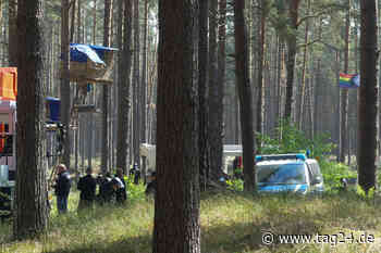 Kontrollen im Protestcamp Losser Forst: Identitäten von Baumbesetzern festgestellt - TAG24