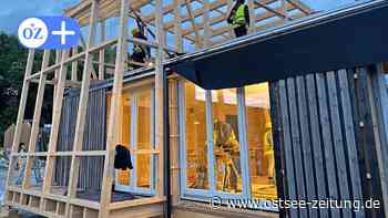 Usedomer Tischlerei hilft Studierenden bei Bau-Olympiade Solar Decathlon - Ostsee Zeitung